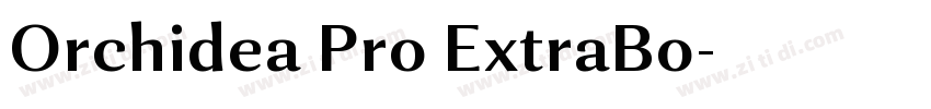 Orchidea Pro ExtraBo字体转换